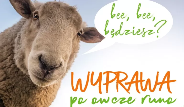 Gra Terenowa Wyprawa po Owcze Runo. Moc atrakcji w Parku Turystyki!