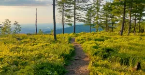 Beskid Mały jest wspaniały! Zapraszamy na Rogacz, Magurkę Wilkowicką i Czupel