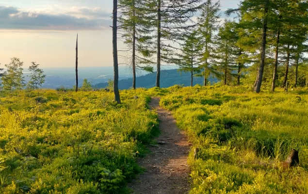 Beskid Mały jest wspaniały! Zapraszamy na Rogacz, Magurkę Wilkowicką i Czupel