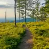Beskid Mały jest wspaniały! Zapraszamy na Rogacz, Magurkę Wilkowicką i Czupel